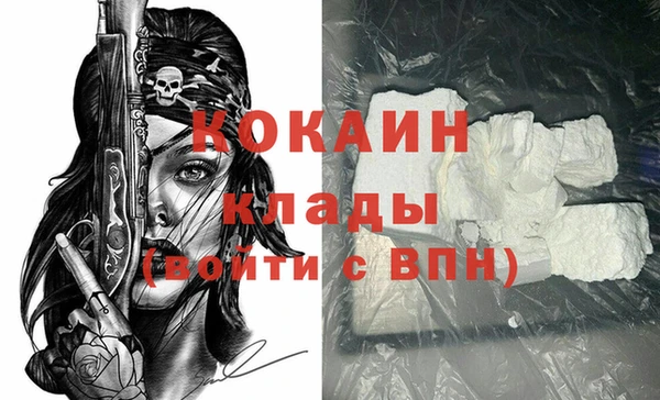 крисы Лагань
