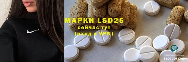 крисы Лагань