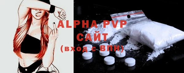 спиды Сясьстрой