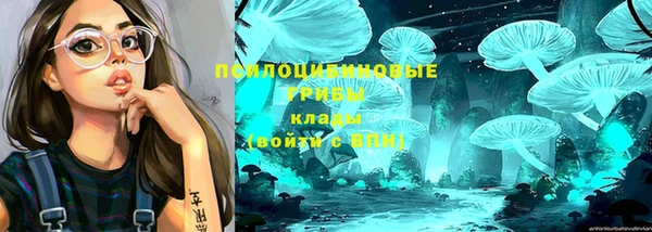 гашишное масло Лабытнанги