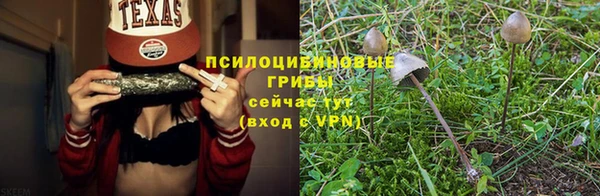 ГАЛЛЮЦИНОГЕННЫЕ ГРИБЫ Ладушкин