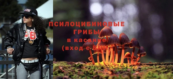 крисы Лагань