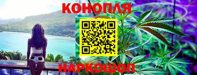 индика Апшеронск