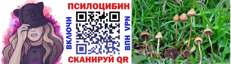 Псилоцибиновые грибы MAGIC MUSHROOMS  купить   mega зеркало  Астрахань 