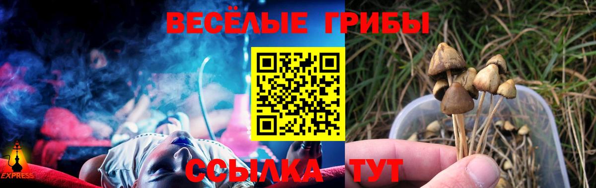 Галлюциногенные грибы Cubensis  Псилоцибиновые грибы GOLDEN TEACHER  Астрахань 