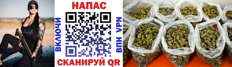 Шишки марихуана тримм  Астрахань 